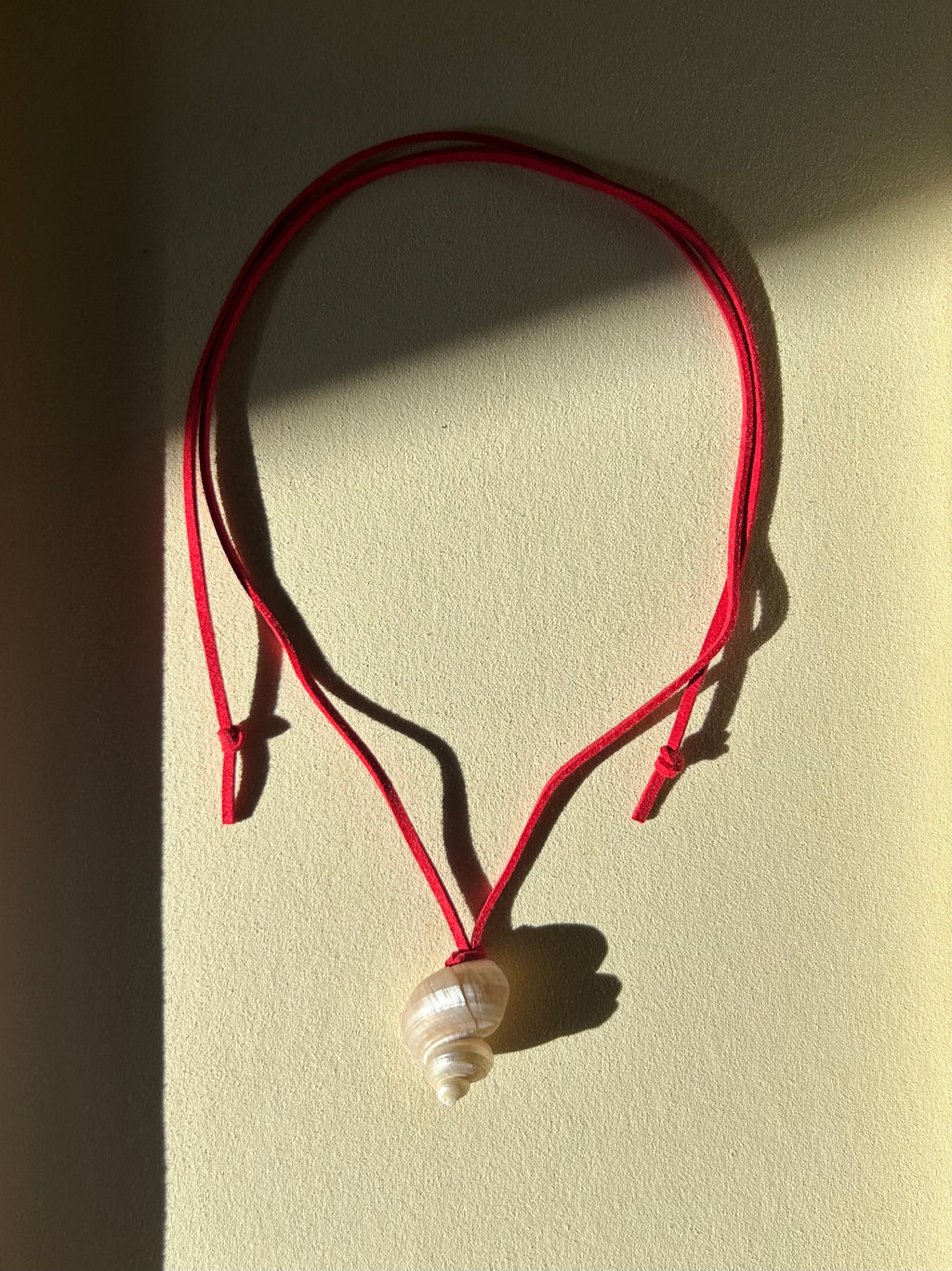Turbo Pearled Seashell