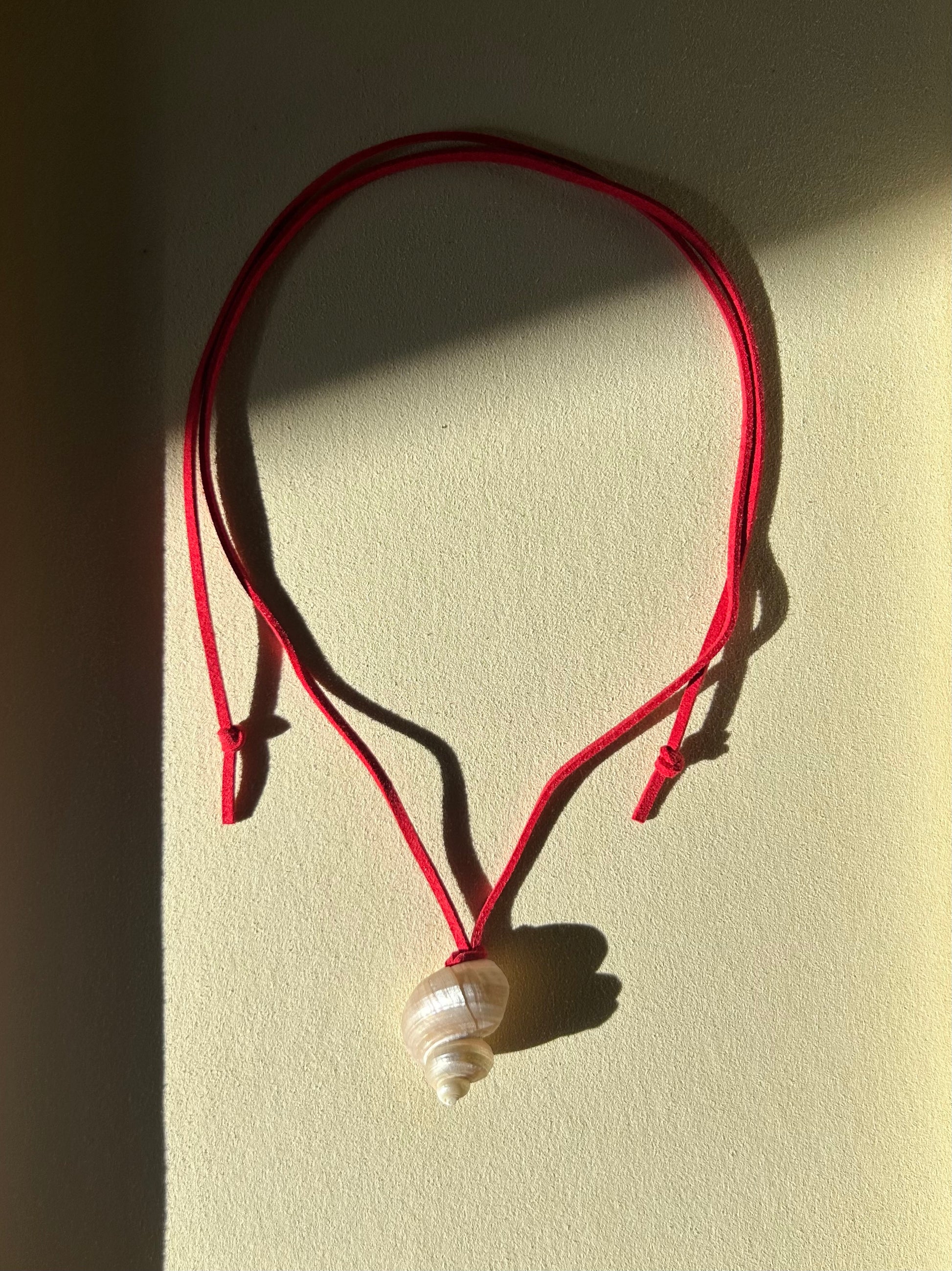 Turbo Pearled Seashell
