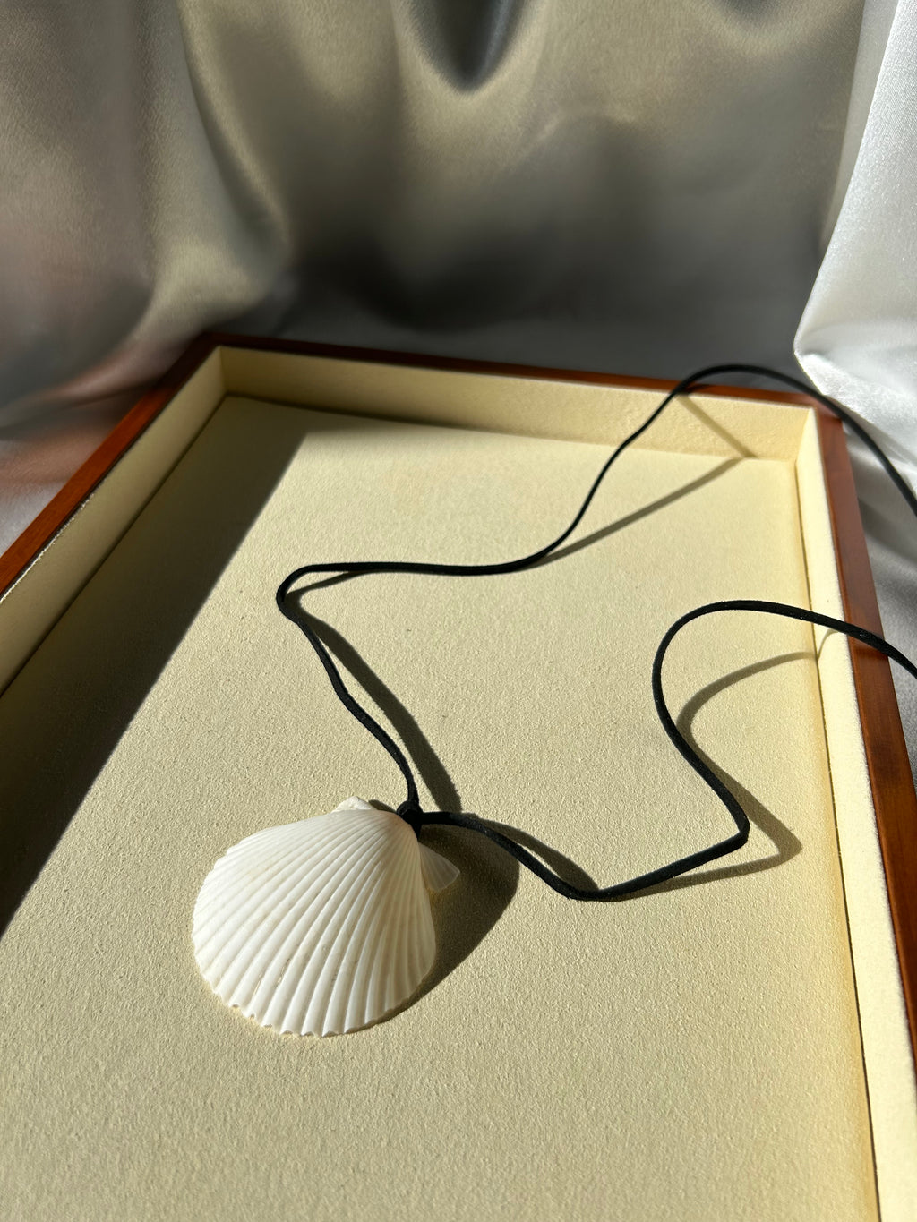 Seashell Necklace