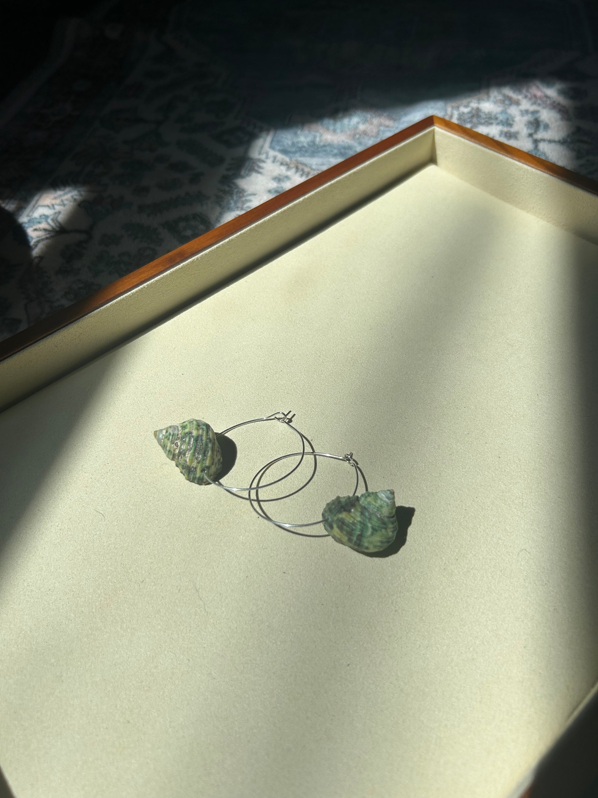 Turbo Shell Hoop Earrings