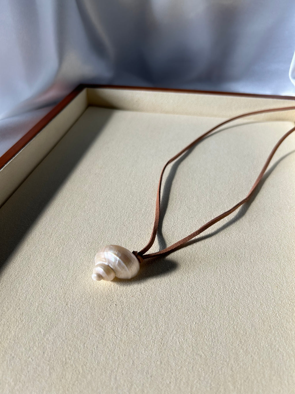 Turbo Pearled Seashell