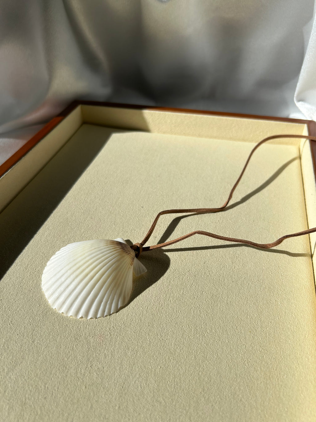 Seashell Necklace