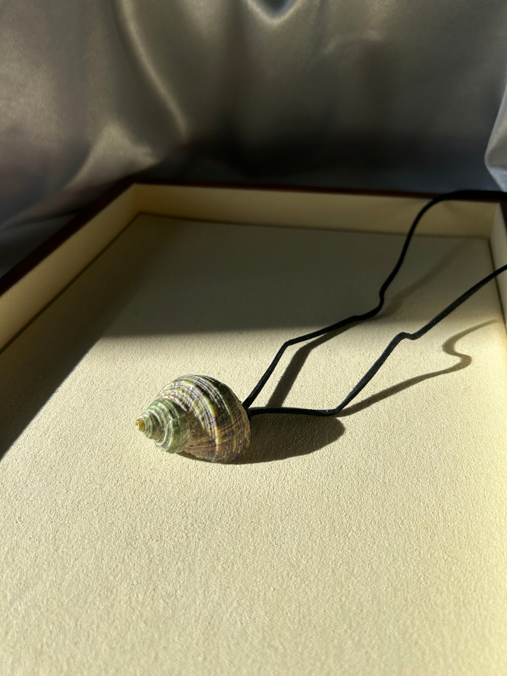 Turbo Seashell Necklace