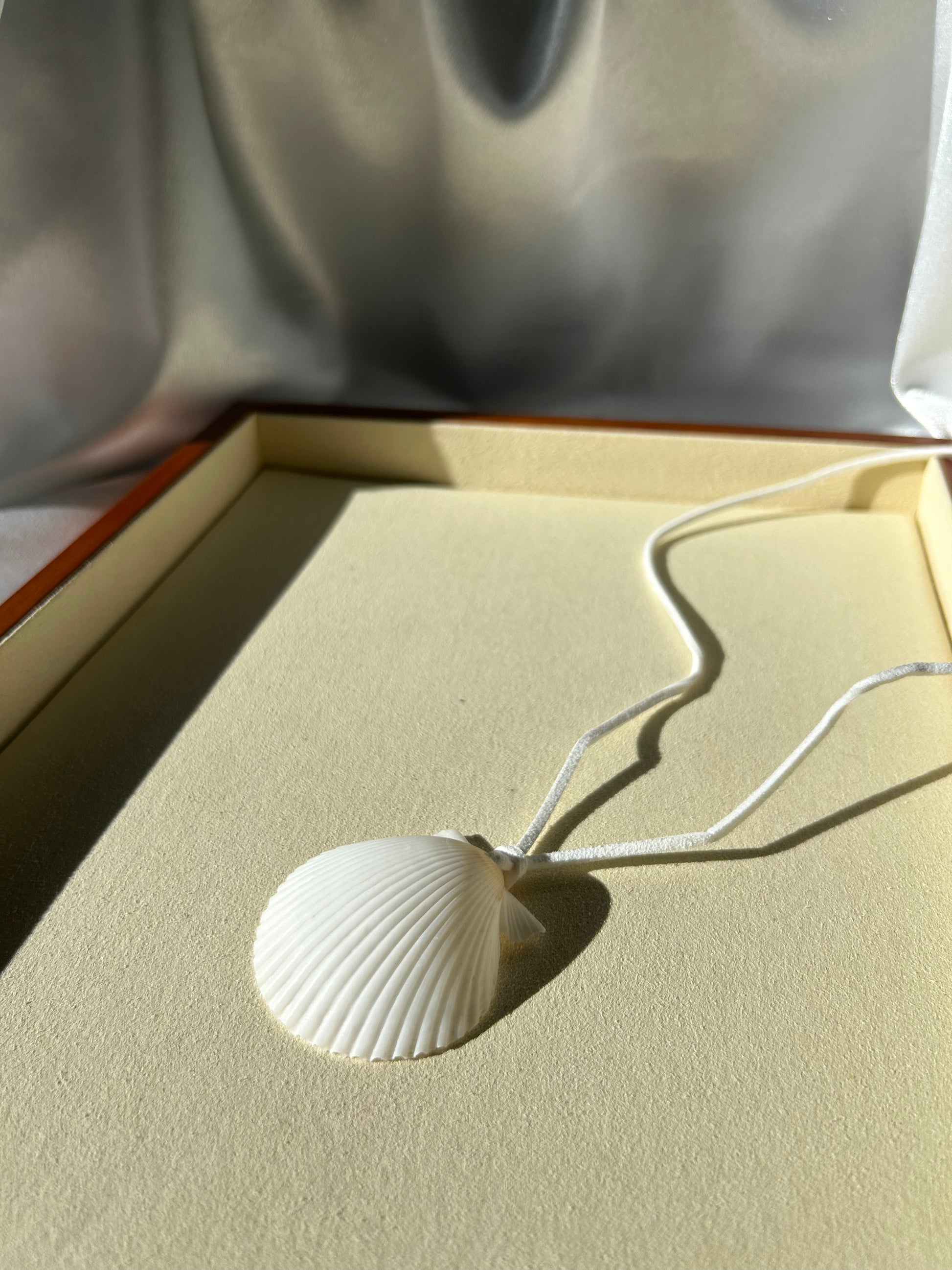 Seashell Necklace