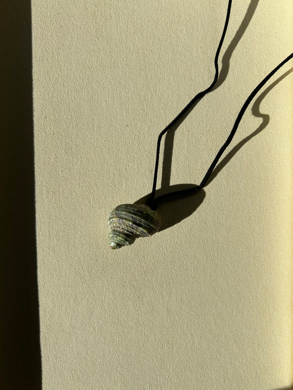 Turbo Seashell Necklace