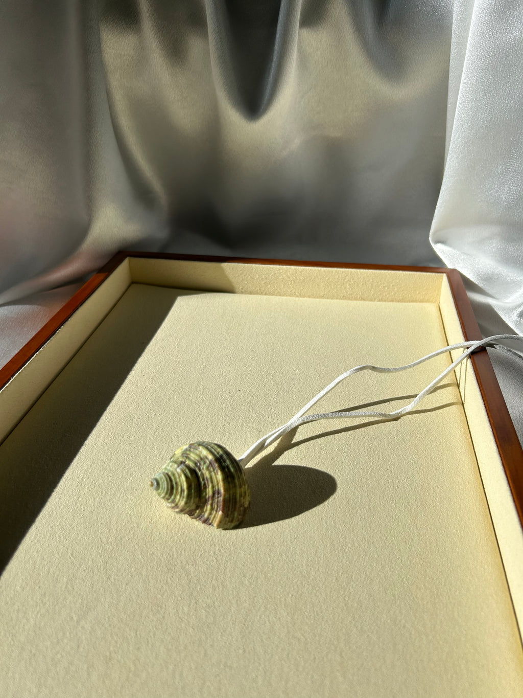 Turbo Seashell Necklace