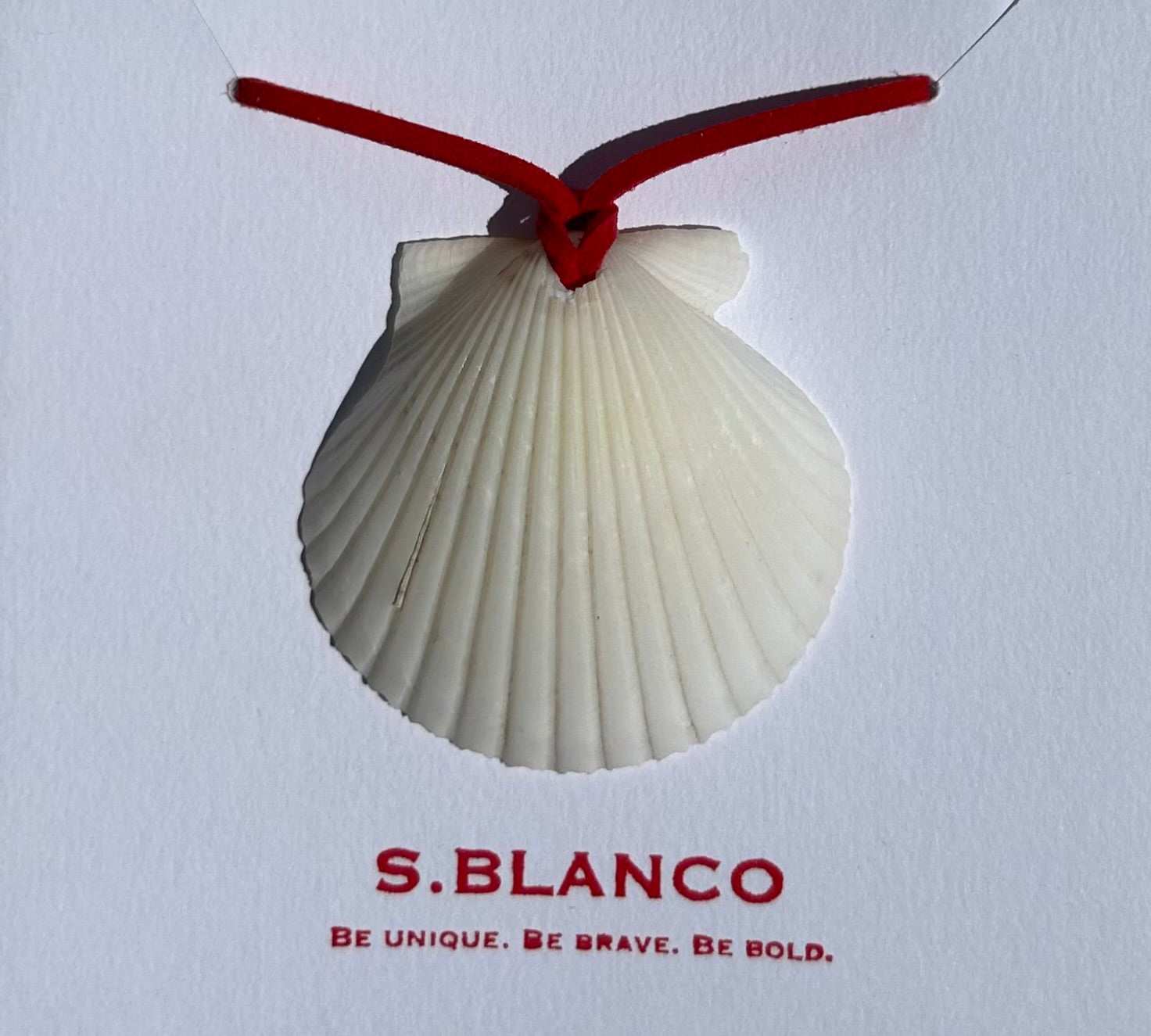 Seashell necklace