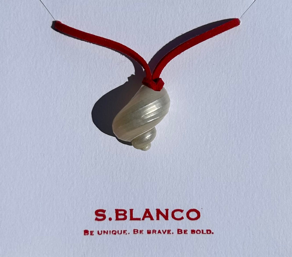 Turbo Pearled Seashell