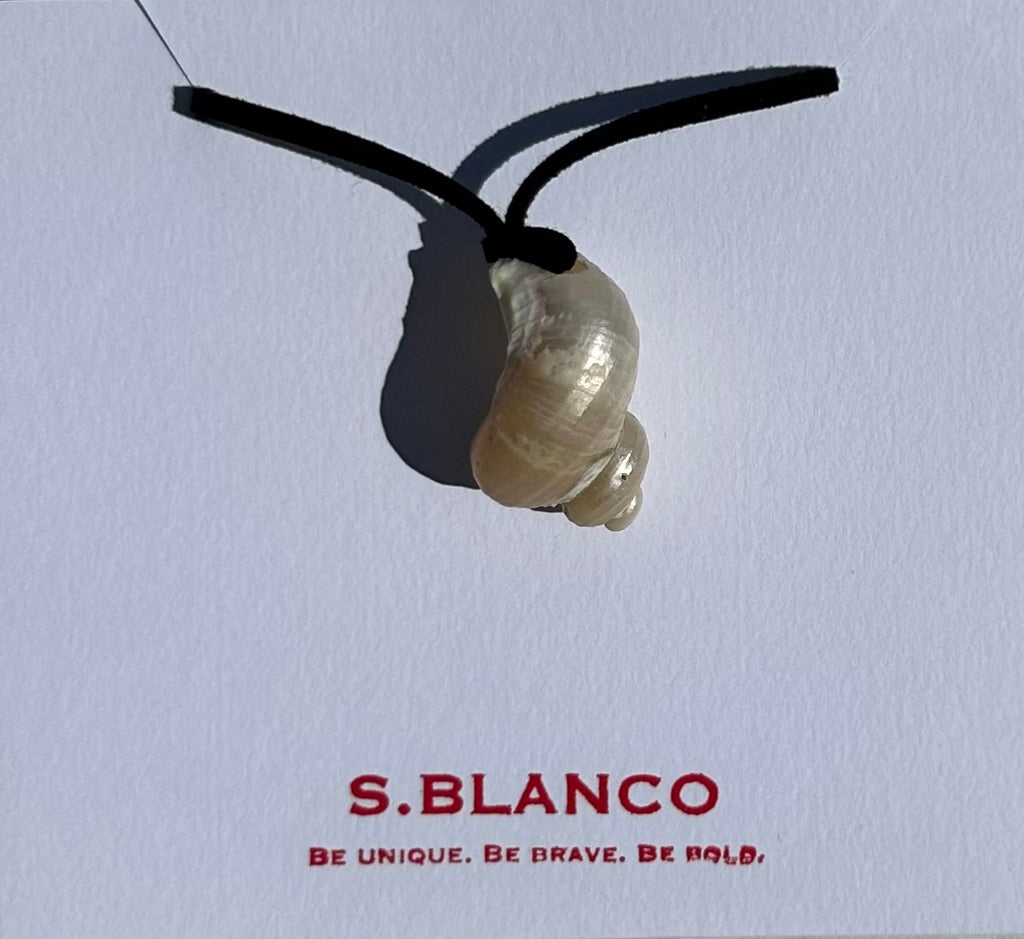 Turbo Pearled Seashell