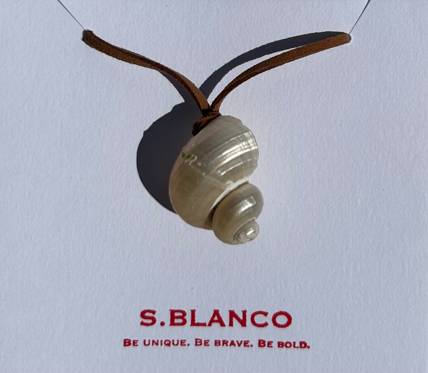 Turbo Pearled Seashell