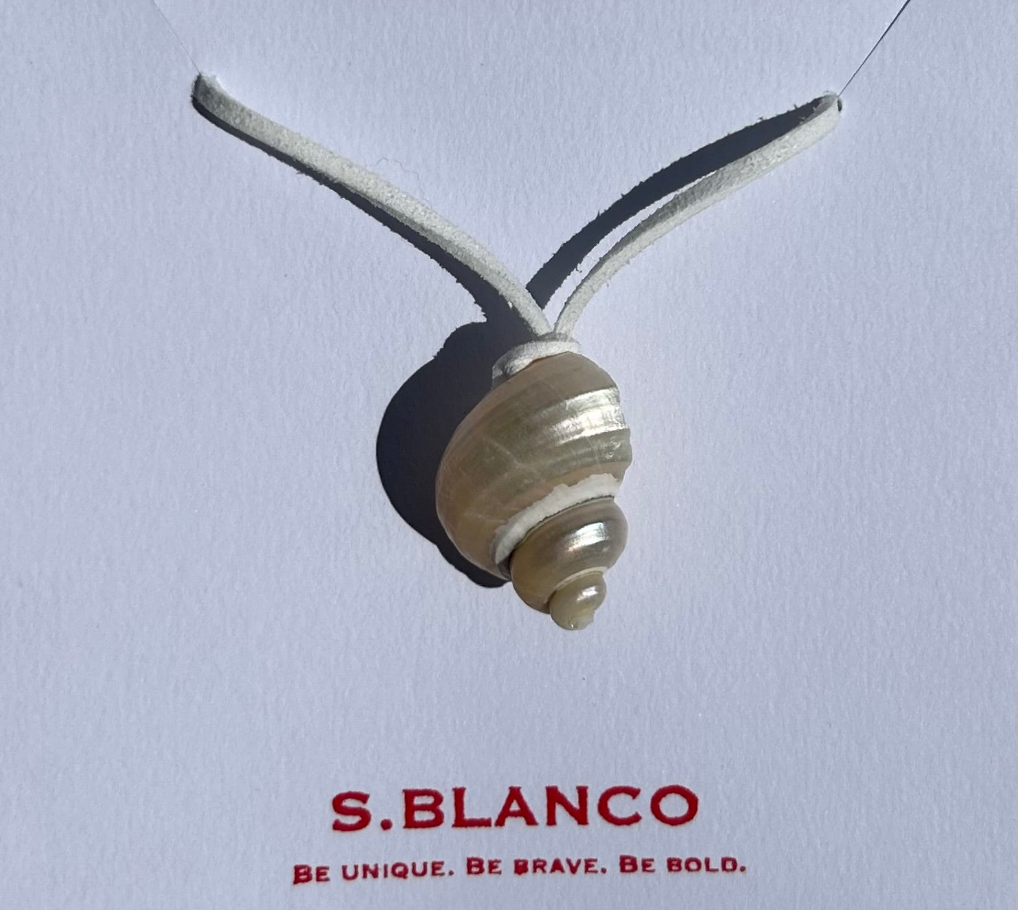 Turbo Pearled Seashell