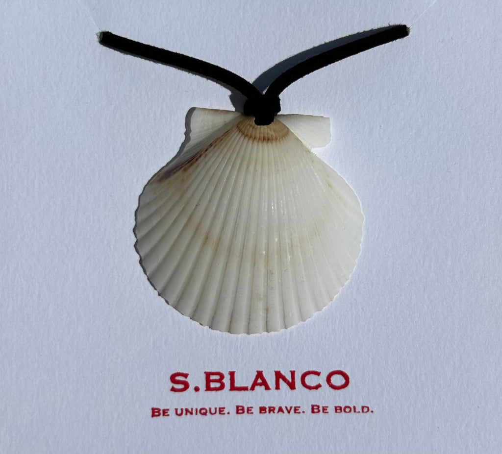 Seashell necklace