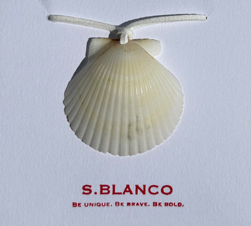 Seashell necklace