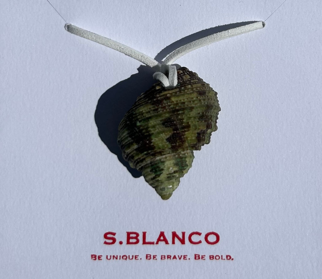 Turbo seashell necklace