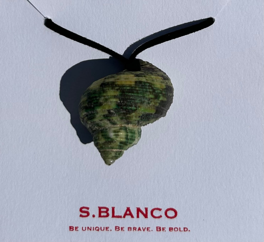 Turbo seashell necklace