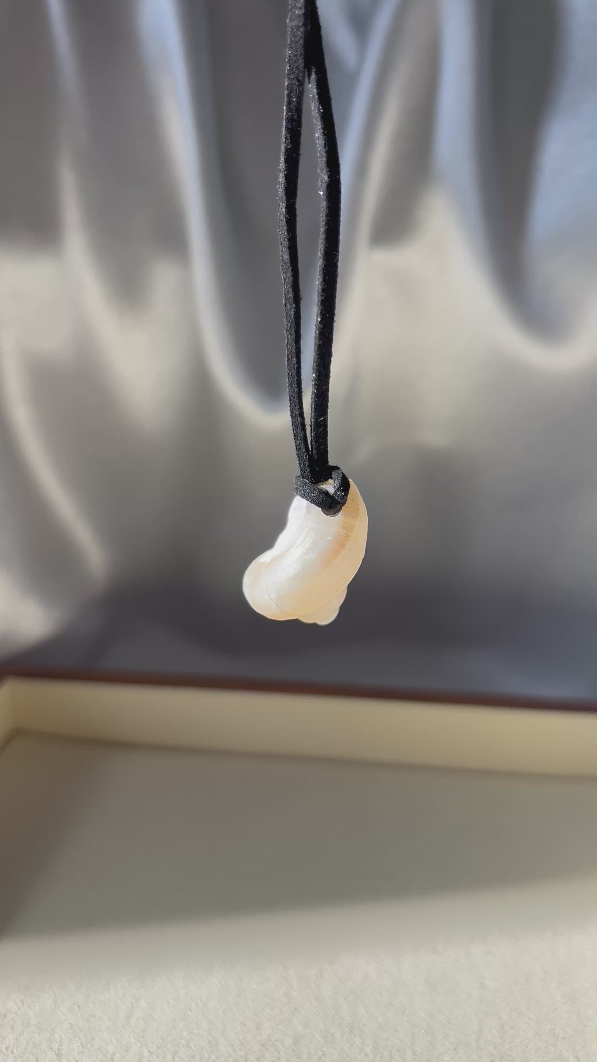 Turbo Pearled Seashell