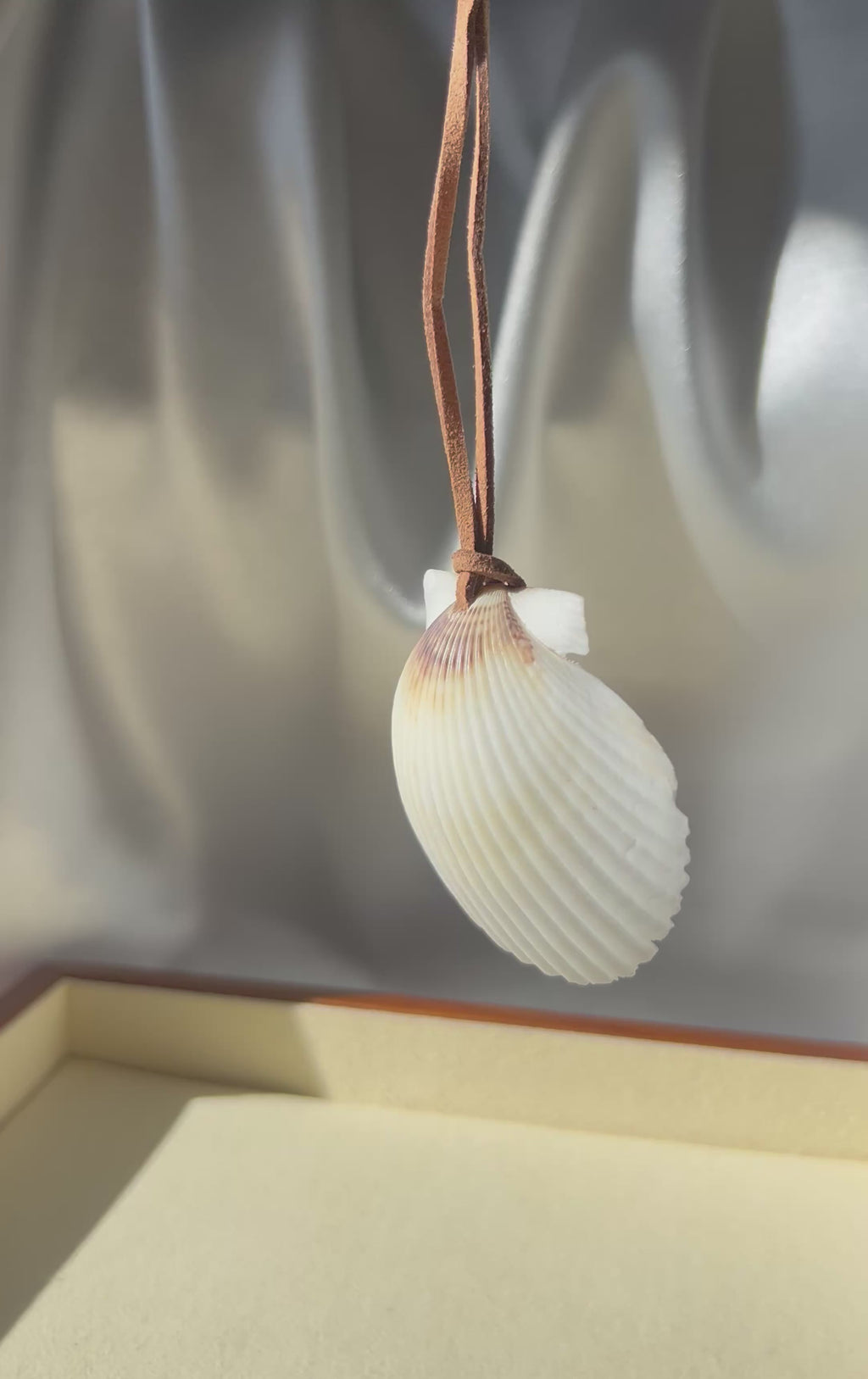 Seashell Necklace