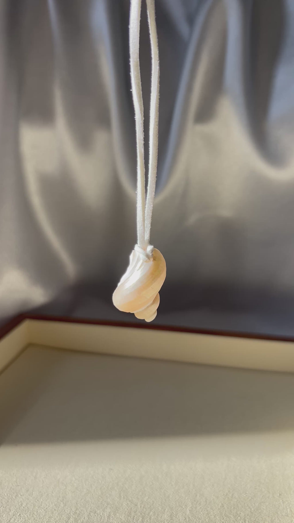 Turbo Pearled Seashell