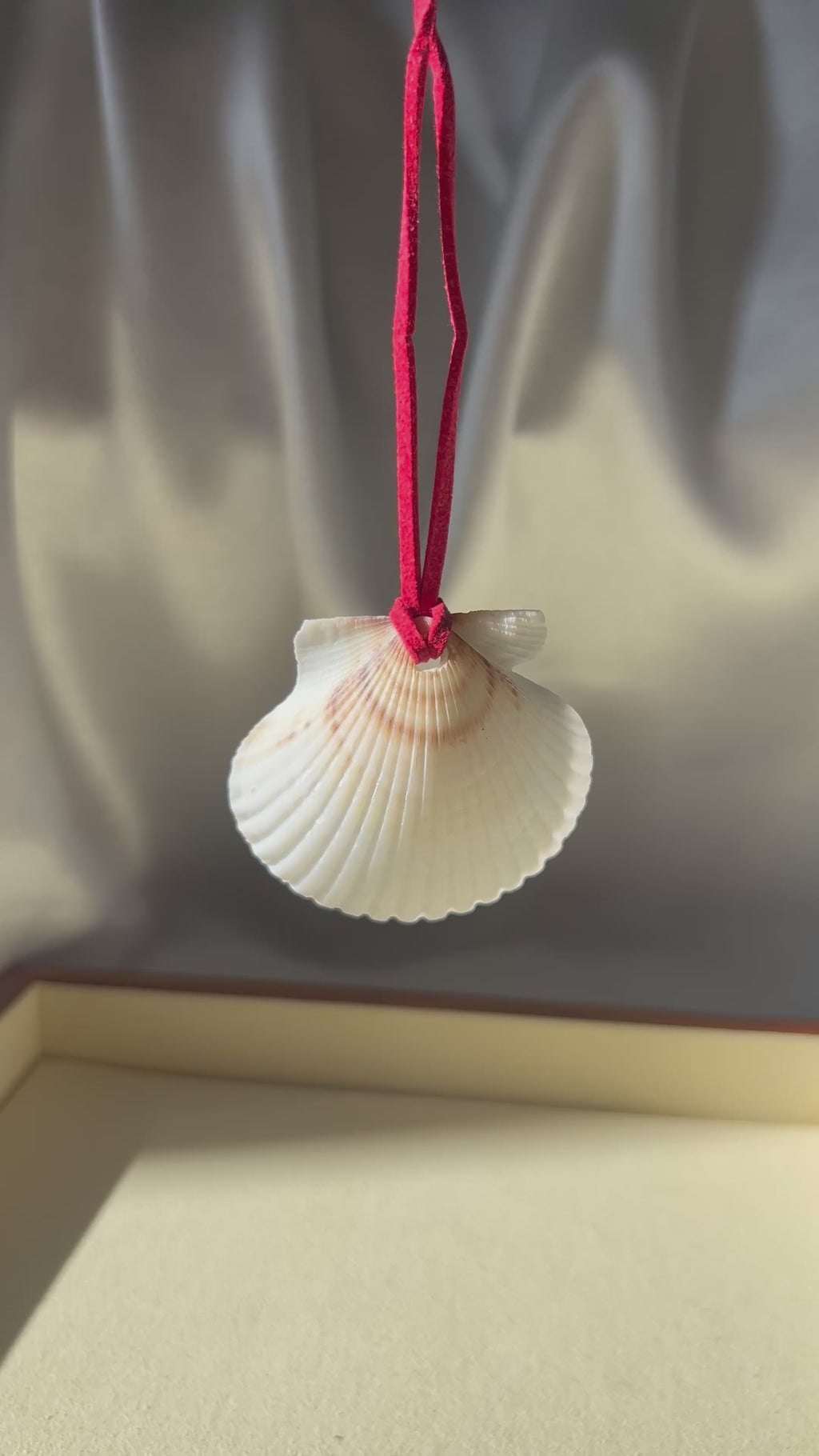 Seashell Necklace