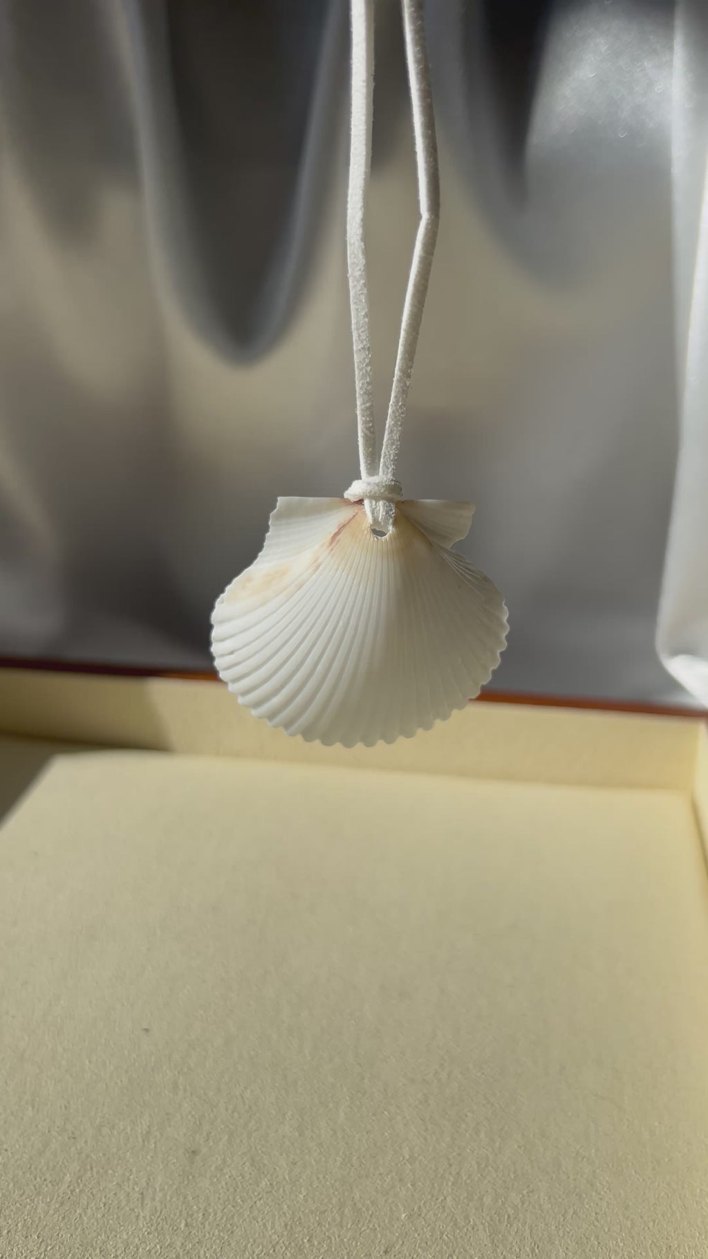 Seashell Necklace