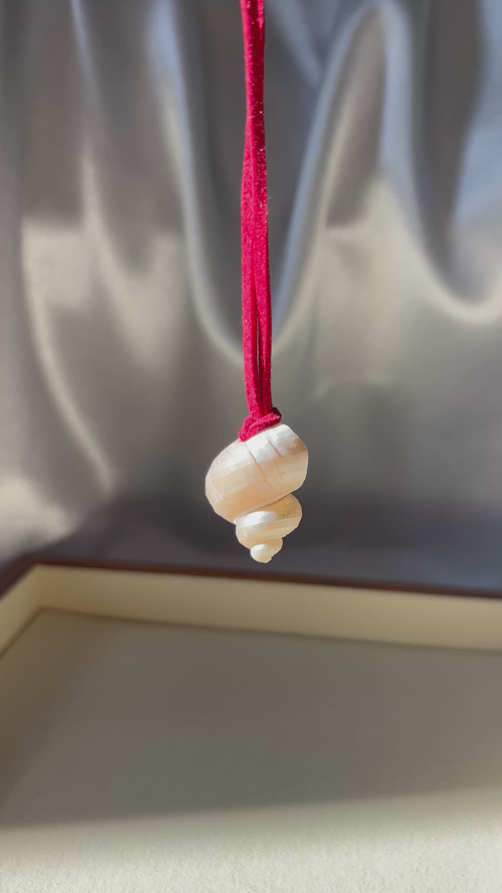 Turbo Pearled Seashell