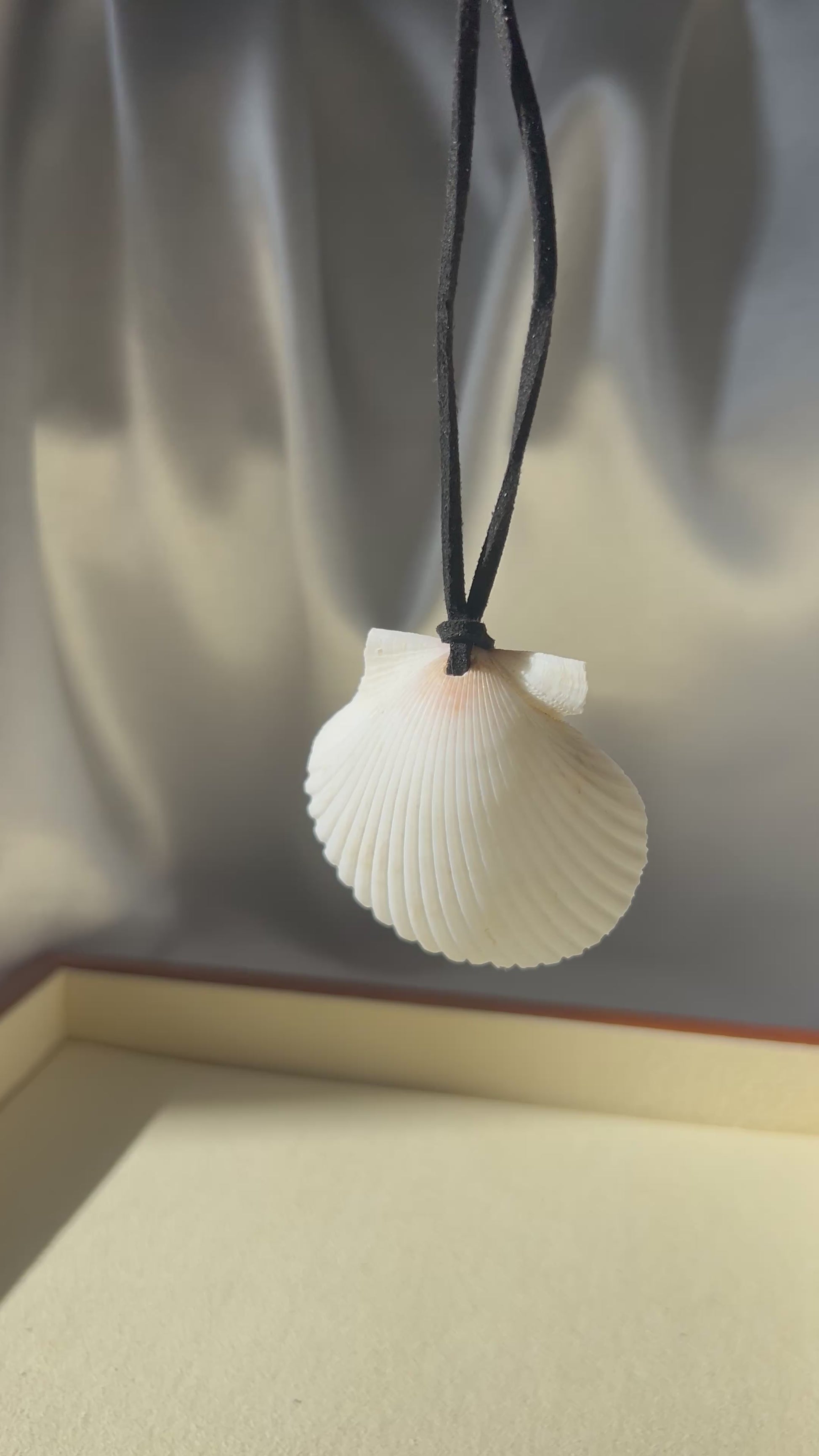 Seashell Necklace