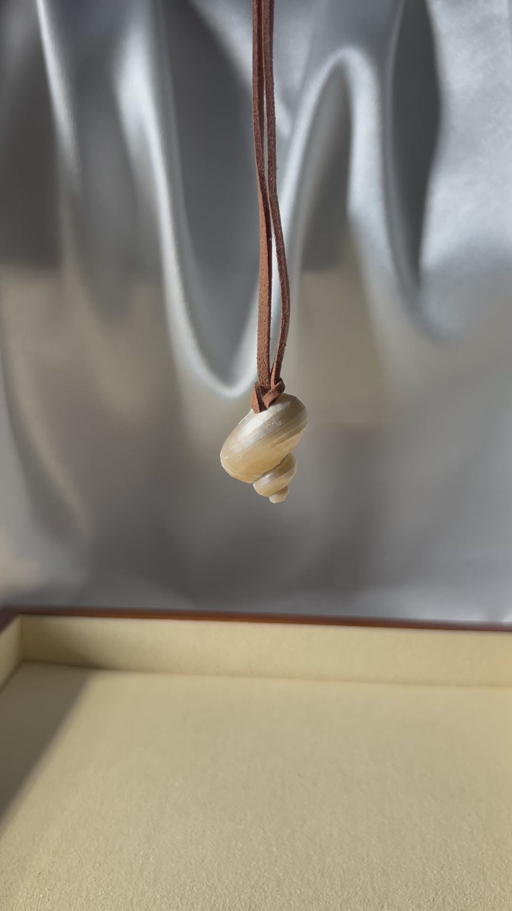 Turbo Pearled Seashell