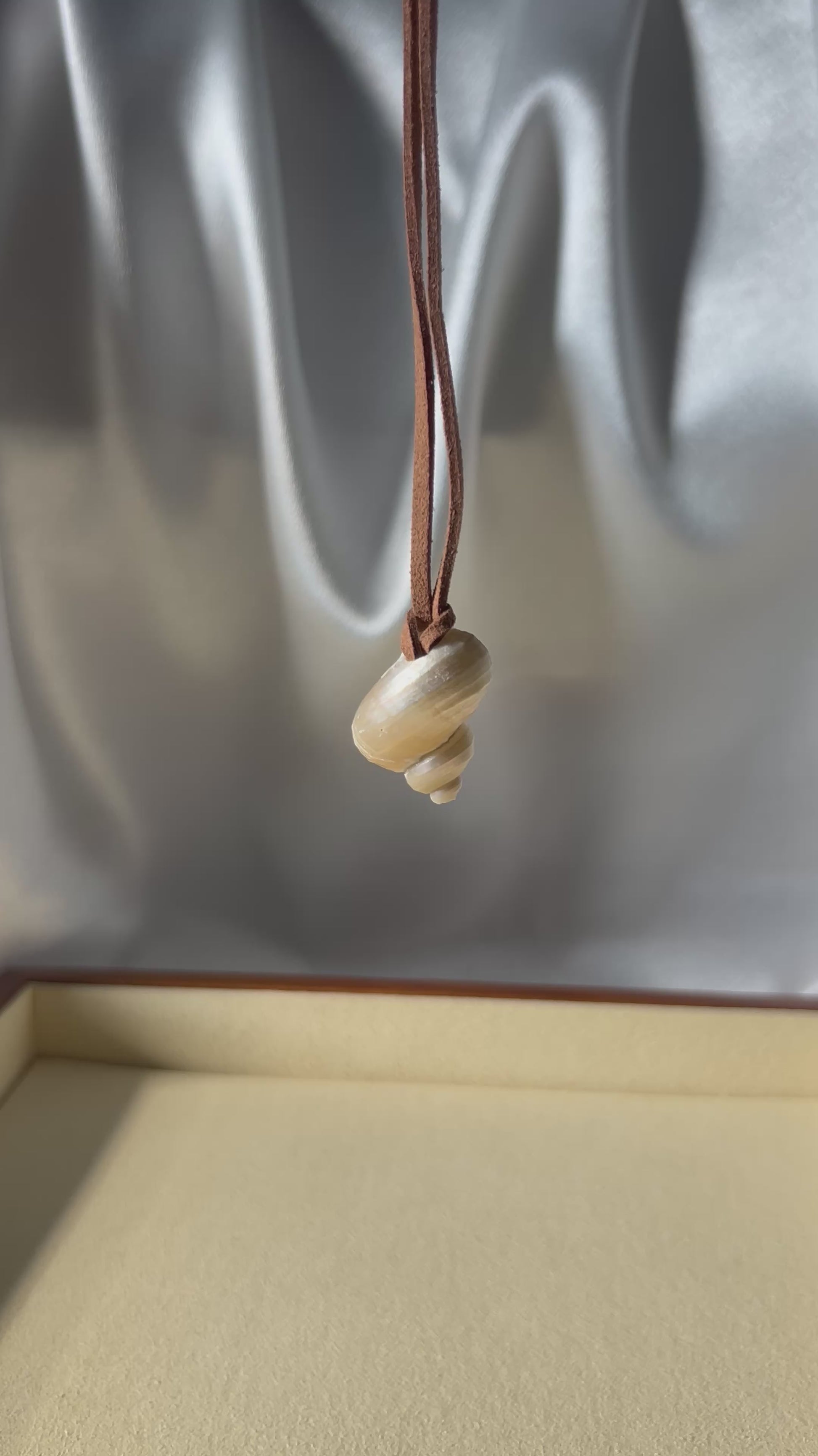 Turbo Pearled Seashell