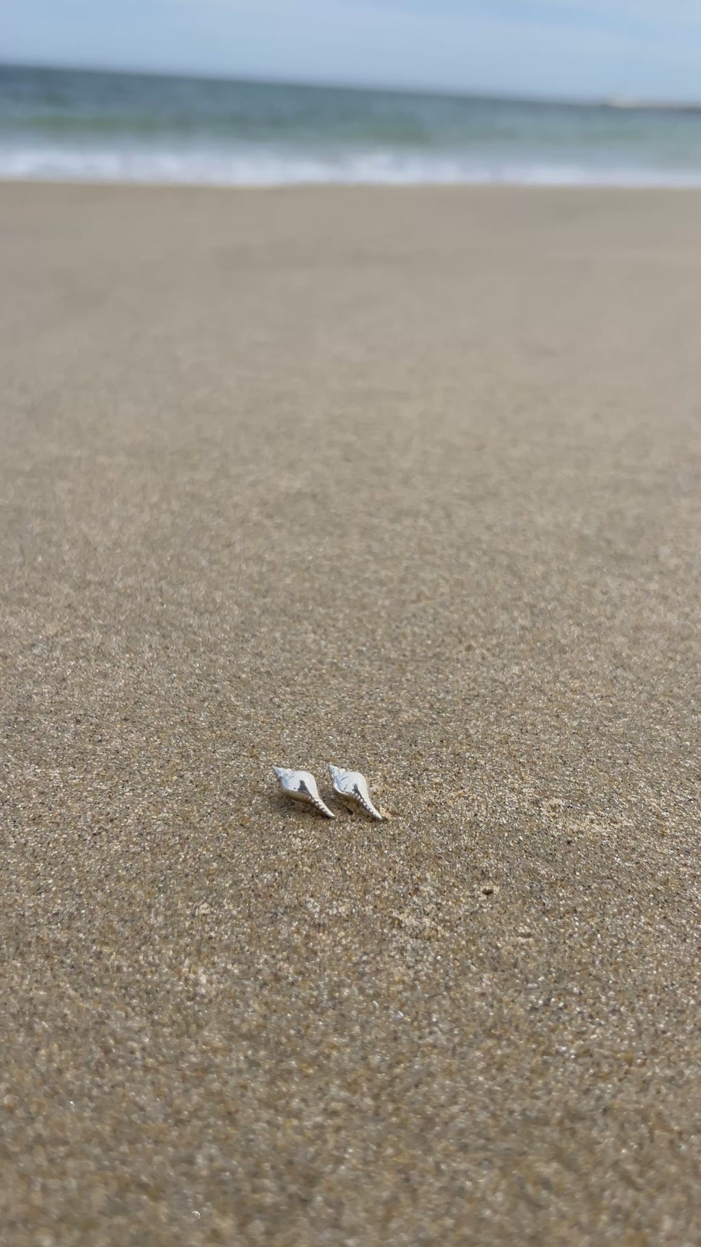Small Sterling Silver Shell Earrings