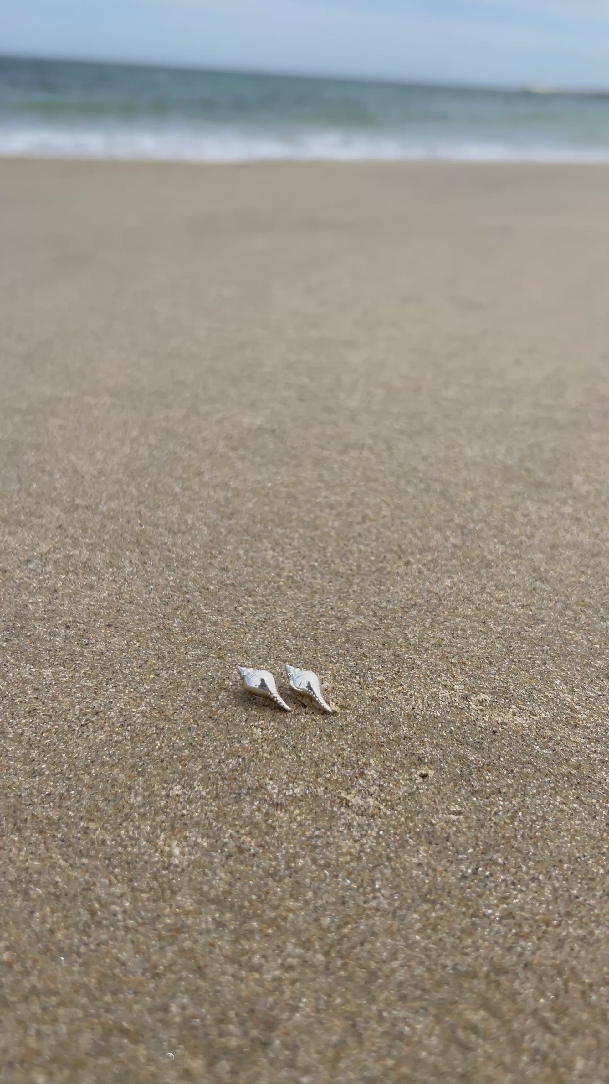 Small Sterling Silver Shell Earrings