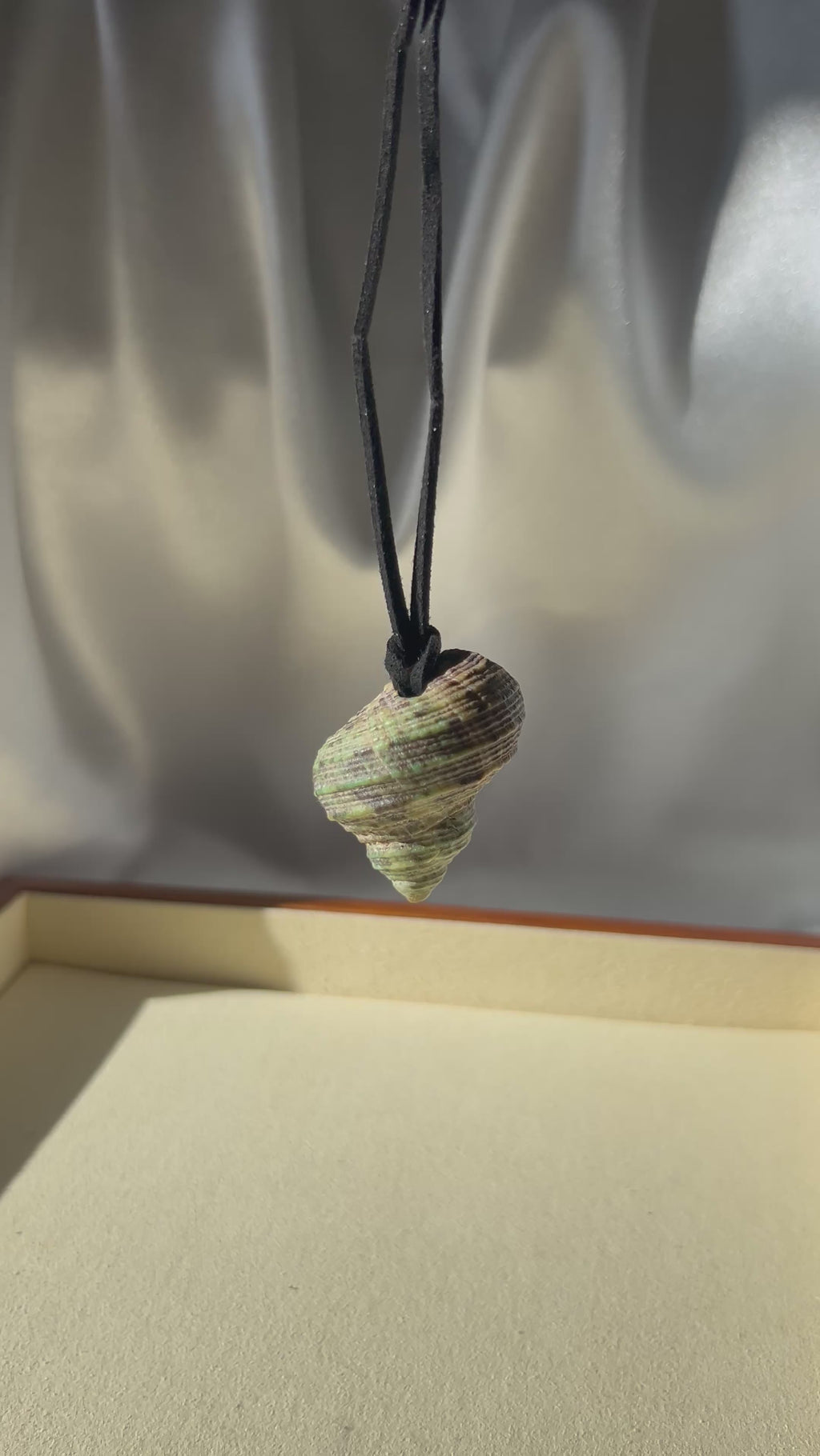 Turbo Seashell Necklace